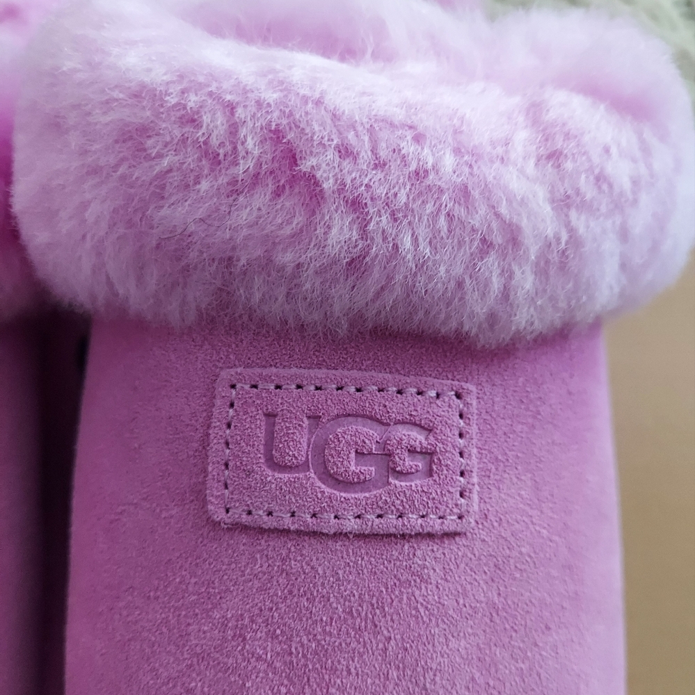 UGG Cozy Slipper - Echinacea - Picture 5 of 10